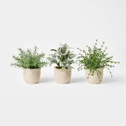 Threshold designed w/Studio McGee Set of 3 Mini Potted Herbs - Threshold™ designed with Studio McGee