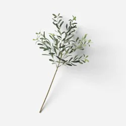 Olive Branch - Threshold™