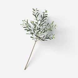 Olive Branch - Threshold™