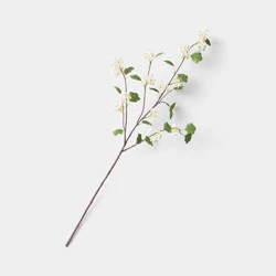 Hawthorne Branch - Threshold™