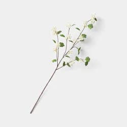 Hawthorne Branch - Threshold™