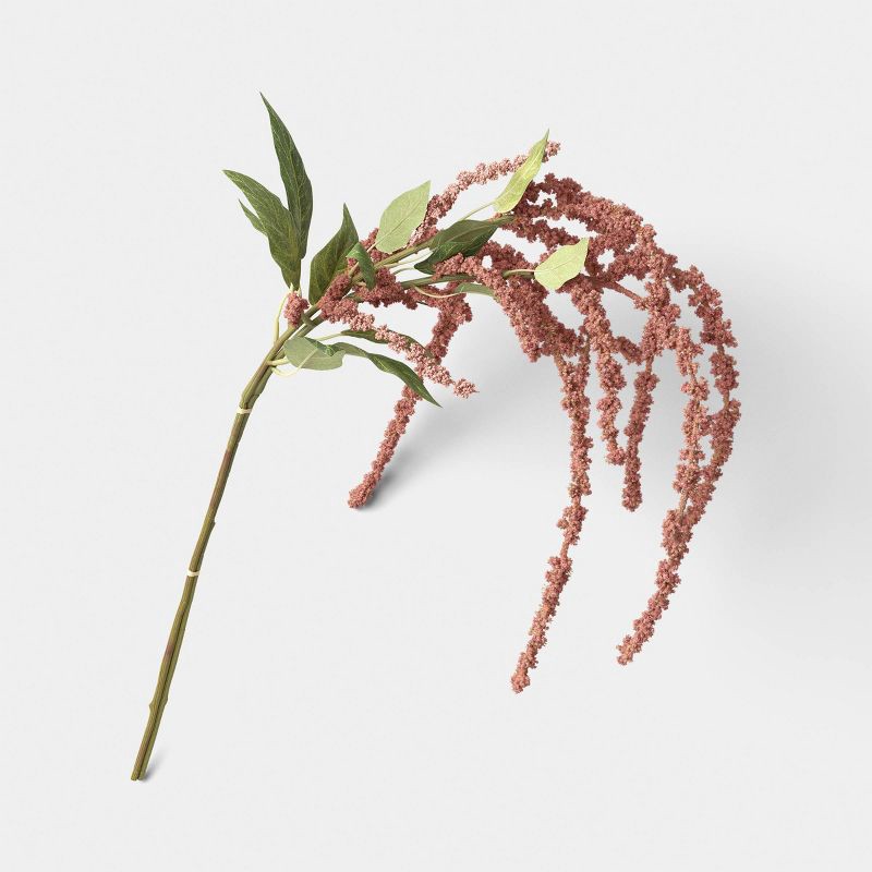 slide 1 of 3, Amaranthus Stem - Threshold™, 1 ct