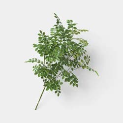 Green Leaf Stem - Threshold™