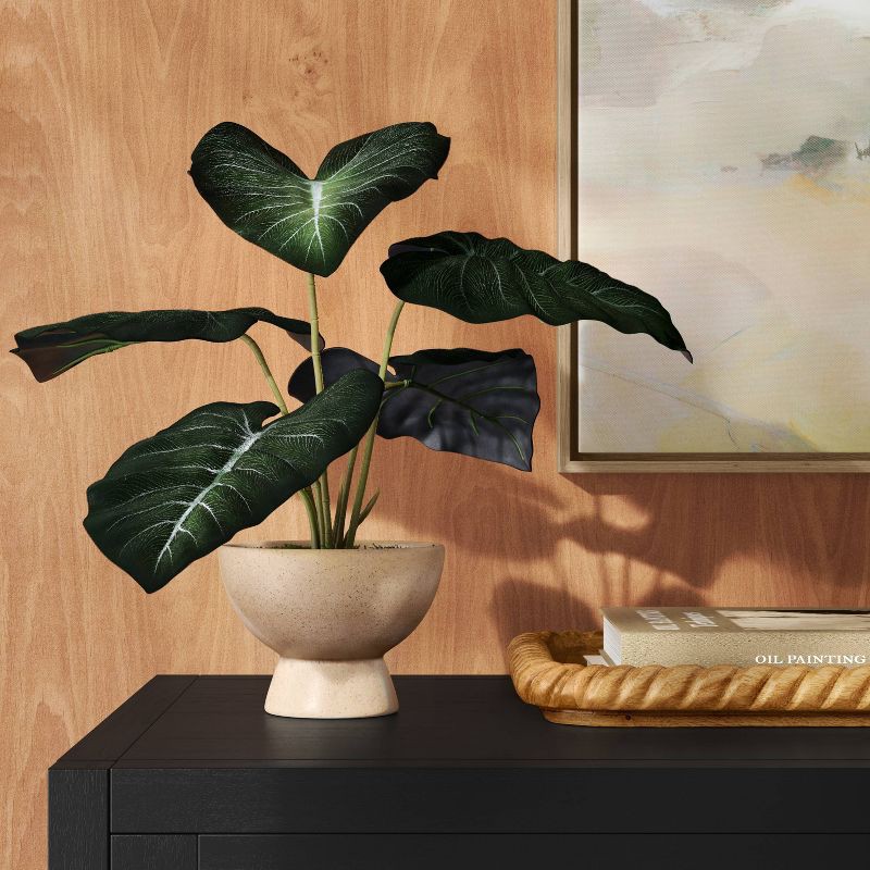 slide 2 of 4, Velvet Alocasia Plant - Threshold™, 1 ct