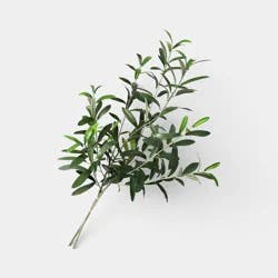 Artificial Olive Stem Leaf Sprays - Threshold™