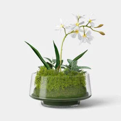 Orchid Glass Terrarium - Threshold™