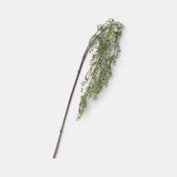 Trailing Green Stem - Threshold™