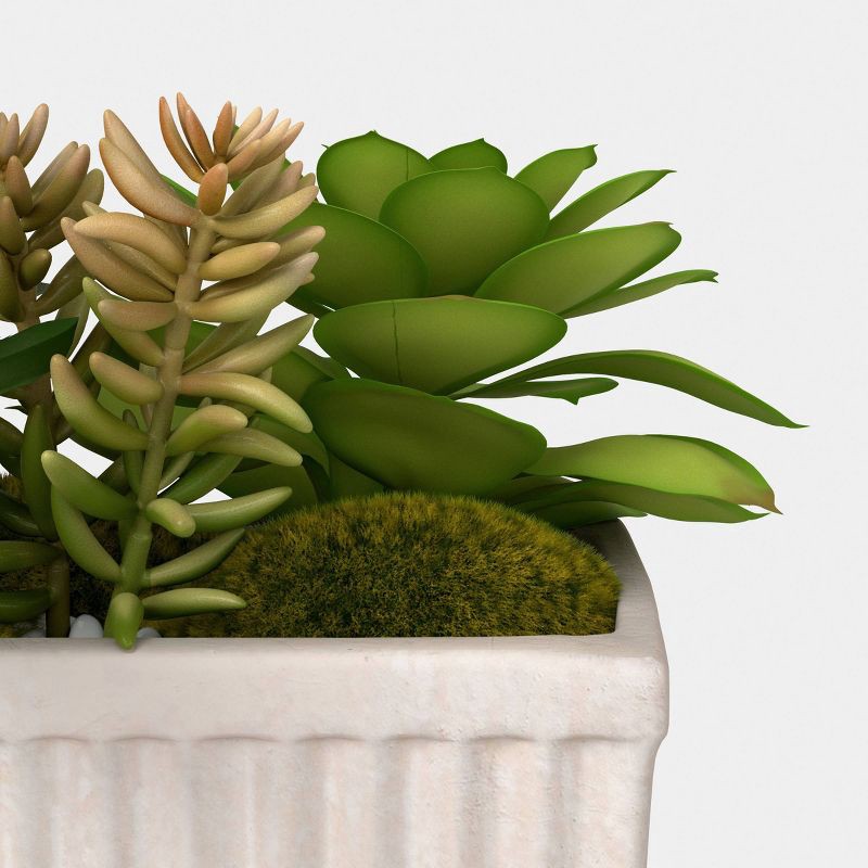 slide 3 of 4, 8" Succulent Capsule - Threshold™, 1 ct