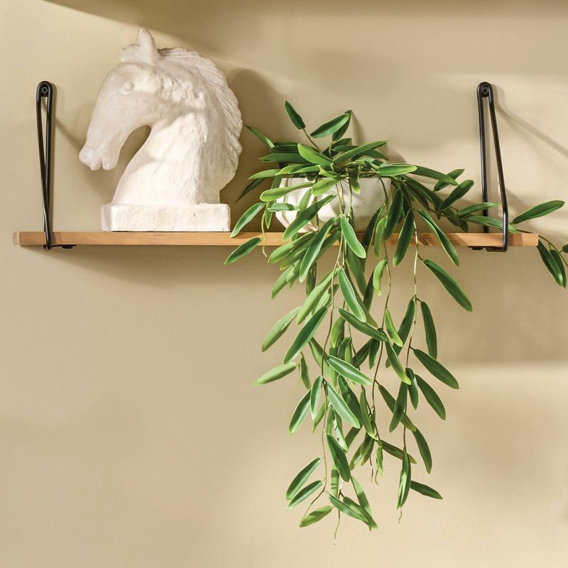 slide 2 of 4, Trailing Leaf Plant - Threshold™, 1 ct