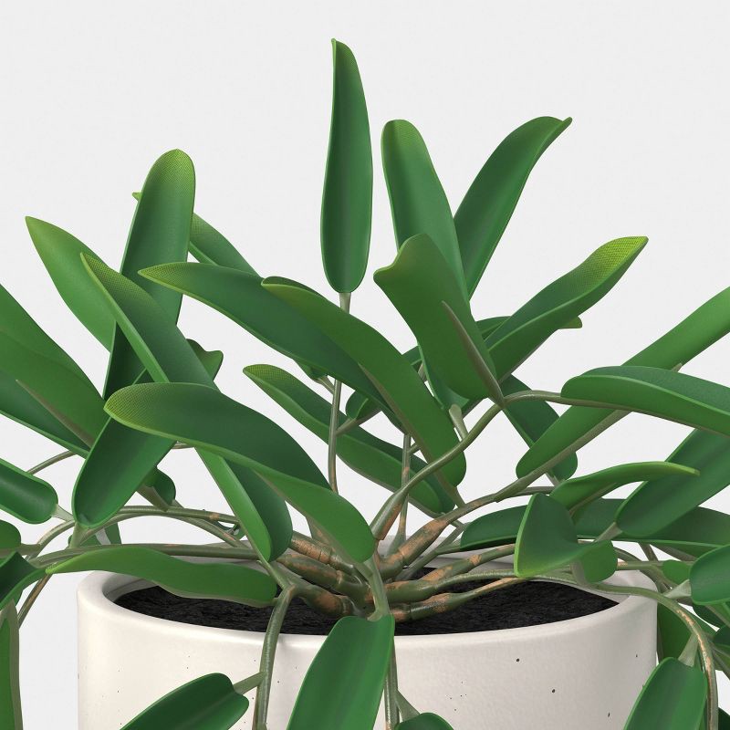 slide 3 of 4, Trailing Leaf Plant - Threshold™, 1 ct