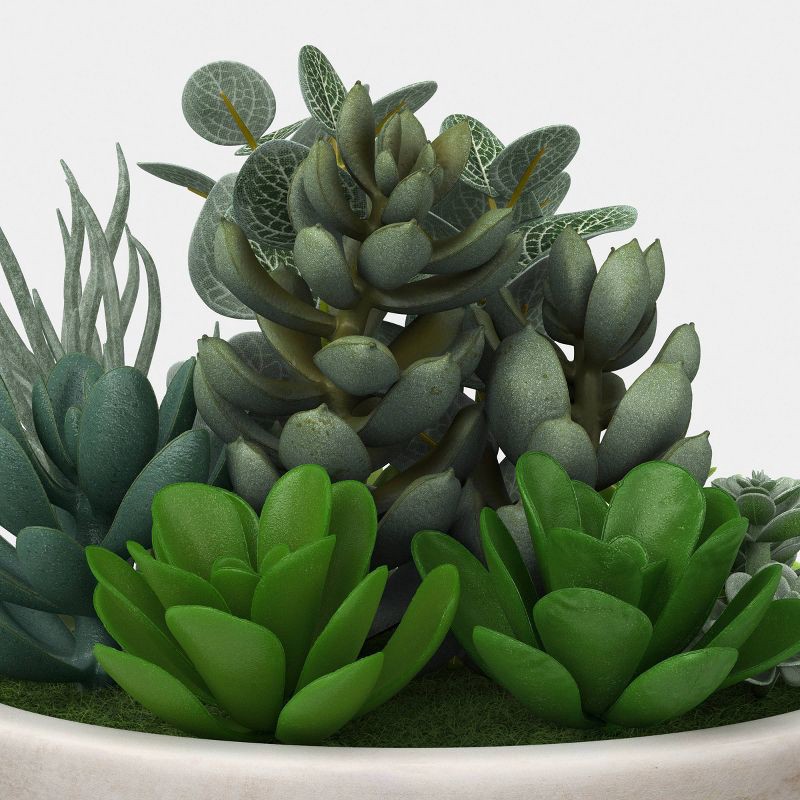 slide 3 of 4, Succulent Bowl - Threshold™, 1 ct