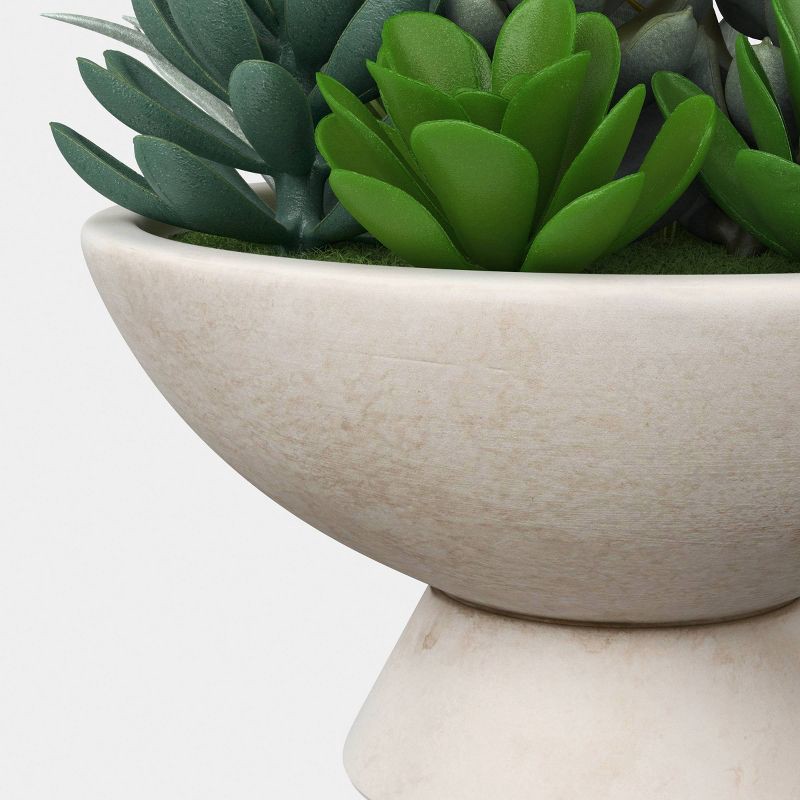 slide 4 of 4, Succulent Bowl - Threshold™, 1 ct