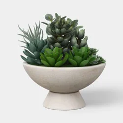 Succulent Bowl - Threshold™