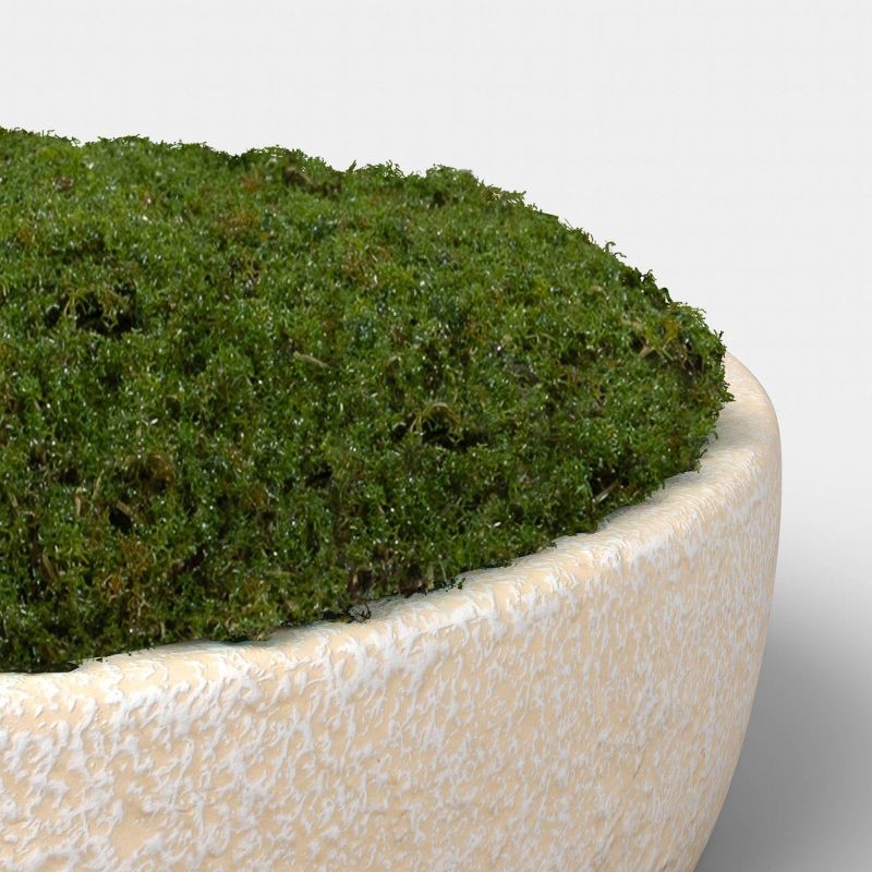 slide 3 of 4, Large Moss Bowl - Threshold™, 1 ct