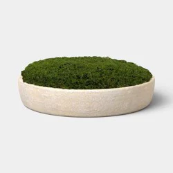 Large Moss Bowl - Threshold™
