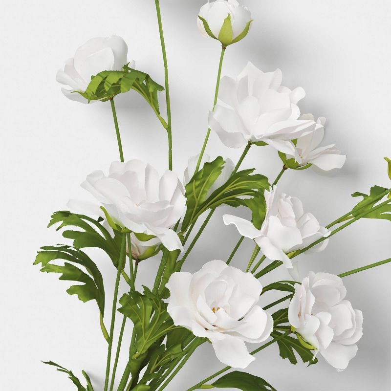 slide 3 of 3, Ranunculus Stem - Threshold™, 1 ct