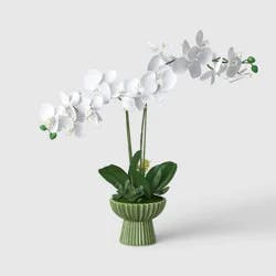 22" Elevated Orchid Plant - Threshold™