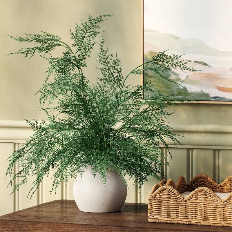 slide 2 of 4, Asparagus Fern - Threshold™, 1 ct