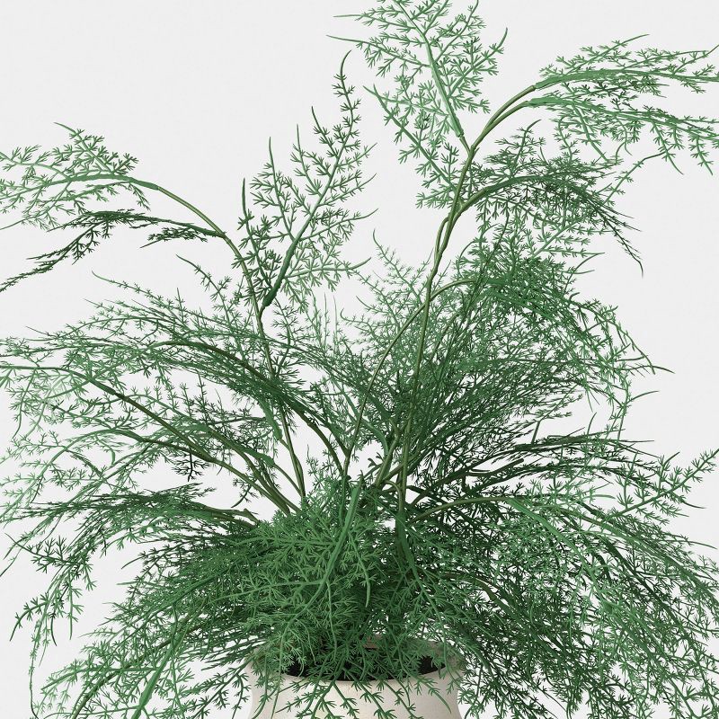 slide 3 of 4, Asparagus Fern - Threshold™, 1 ct