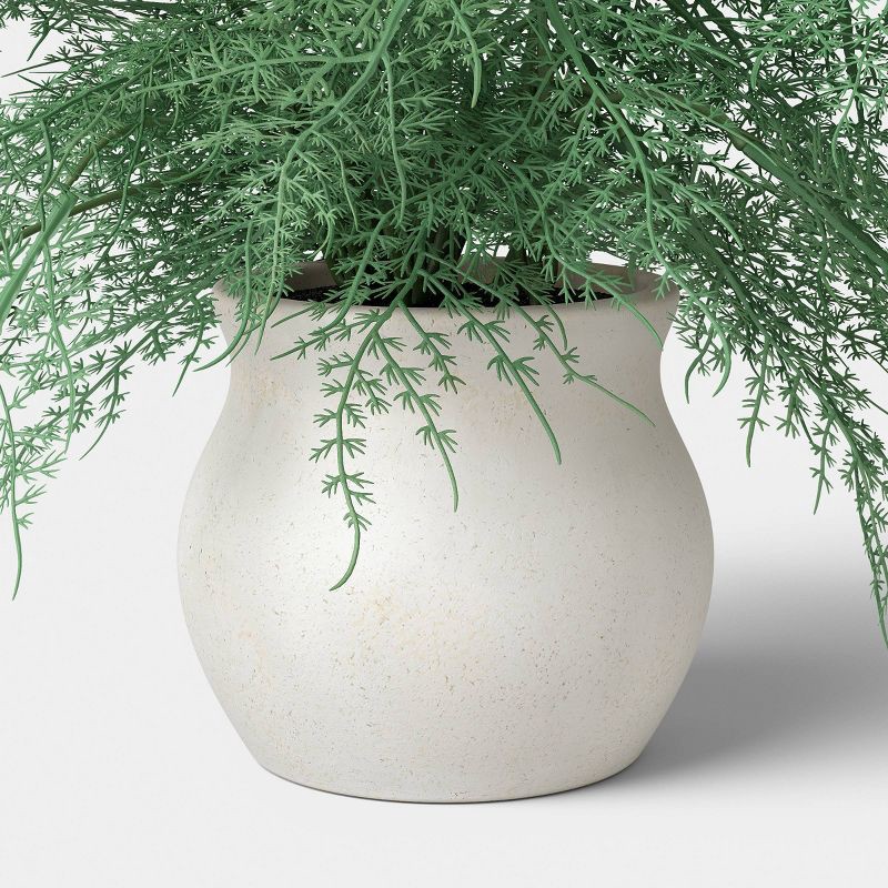 slide 4 of 4, Asparagus Fern - Threshold™, 1 ct