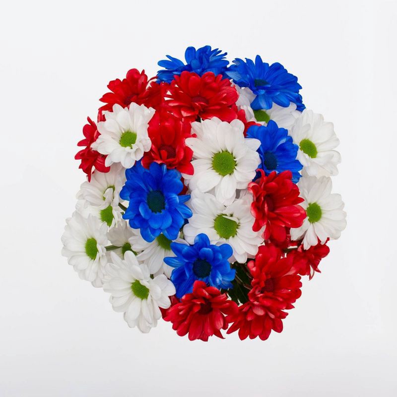 slide 1 of 3, Patriotic Daisy Pom Flower Bouquet - Good Little Garden™, 1 ct