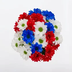 Patriotic Daisy Pom Flower Bouquet - Good Little Garden™