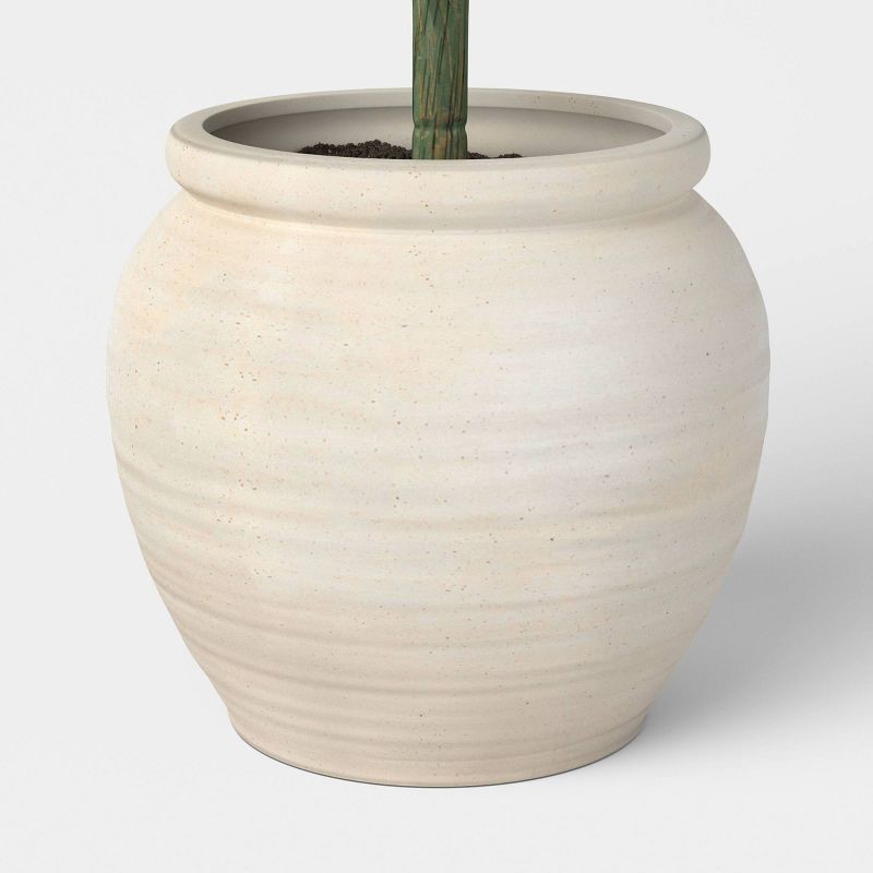 slide 4 of 4, 26" Fiddle Leaf Plant - Threshold™, 1 ct