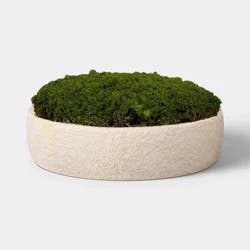 Small Moss Bowl - Threshold™
