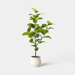 43" Ficus Tree - Threshold™