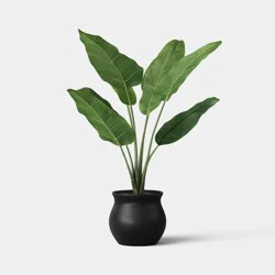 25" Banana Leaf Plant - Threshold™