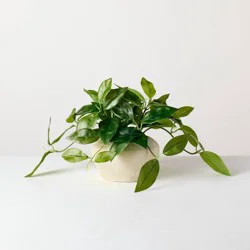 Hearth & Hand with Magnolia 8.5" Small Trailing Hoya Leaf Potted Artificial Plant - Hearth & Hand™ with Magnolia