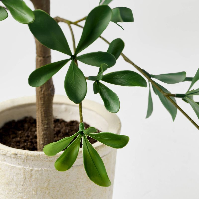 slide 3 of 3, Hearth & Hand with Magnolia 28" Mini Black Olive Artificial Tree - Hearth & Hand™ with Magnolia, 1 ct