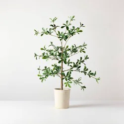 Hearth & Hand with Magnolia 28" Mini Black Olive Artificial Tree - Hearth & Hand™ with Magnolia