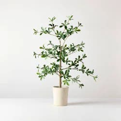 Hearth & Hand with Magnolia 28" Mini Black Olive Artificial Tree - Hearth & Hand™ with Magnolia