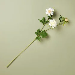 Hearth & Hand with Magnolia 25" Scabiosa Artificial Stem White - Hearth & Hand™ with Magnolia