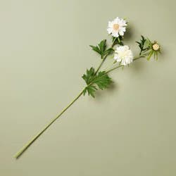 Hearth & Hand with Magnolia 25" Scabiosa Artificial Stem White - Hearth & Hand™ with Magnolia