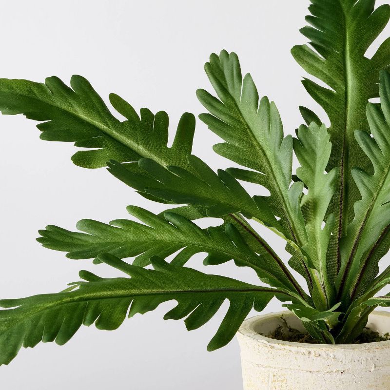 slide 3 of 3, Hearth & Hand with Magnolia 9" XS Green Leaf Artificial Plant - Hearth & Hand™ with Magnolia, 1 ct