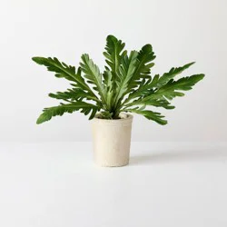 Hearth & Hand with Magnolia 9" XS Green Leaf Artificial Plant - Hearth & Hand™ with Magnolia