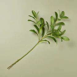 Hearth & Hand with Magnolia 25" Apple Leaf Artificial Stem Green - Hearth & Hand™ with Magnolia