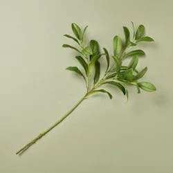 Hearth & Hand with Magnolia 25" Apple Leaf Artificial Stem Green - Hearth & Hand™ with Magnolia