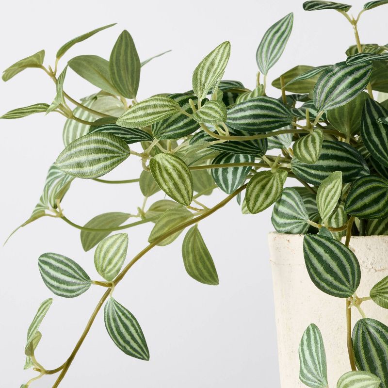 slide 3 of 3, Hearth & Hand with Magnolia 10" Small Trailing Peperomia Artificial Plant - Hearth & Hand™ with Magnolia, 1 ct