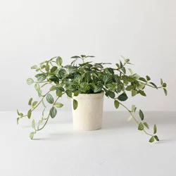 Hearth & Hand with Magnolia 10" Small Trailing Peperomia Artificial Plant - Hearth & Hand™ with Magnolia