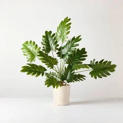 Hearth & Hand with Magnolia 23" Tall Philodendron Artificial Plant - Hearth & Hand™ with Magnolia