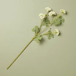 Hearth & Hand with Magnolia 25" Sedum Artificial Stem White - Hearth & Hand™ with Magnolia