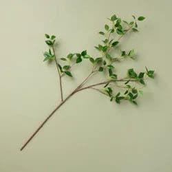 Hearth & Hand with Magnolia Banyan Leaf Artificial Stem Green - Hearth & Hand™ with Magnolia