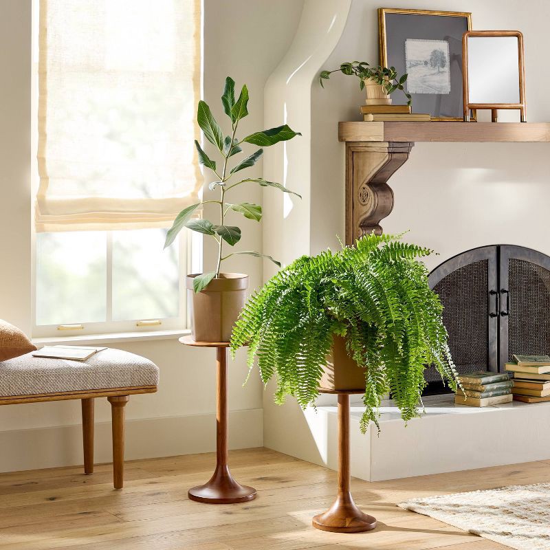 slide 2 of 4, Hearth & Hand with Magnolia 18" Wood Plant Stand Side Table - Hearth & Hand™ with Magnolia, 1 ct