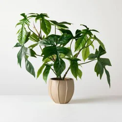 Hearth & Hand with Magnolia Large Philodendron Pedatum Artificial Plant - Hearth & Hand™ with Magnolia
