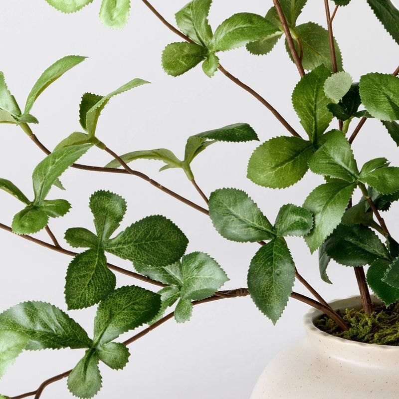 slide 3 of 3, Hearth & Hand with Magnolia Large Green Gypsophila Artificial Plant - Hearth & Hand™ with Magnolia, 1 ct