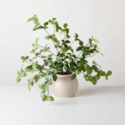 Hearth & Hand with Magnolia Large Green Gypsophila Artificial Plant - Hearth & Hand™ with Magnolia