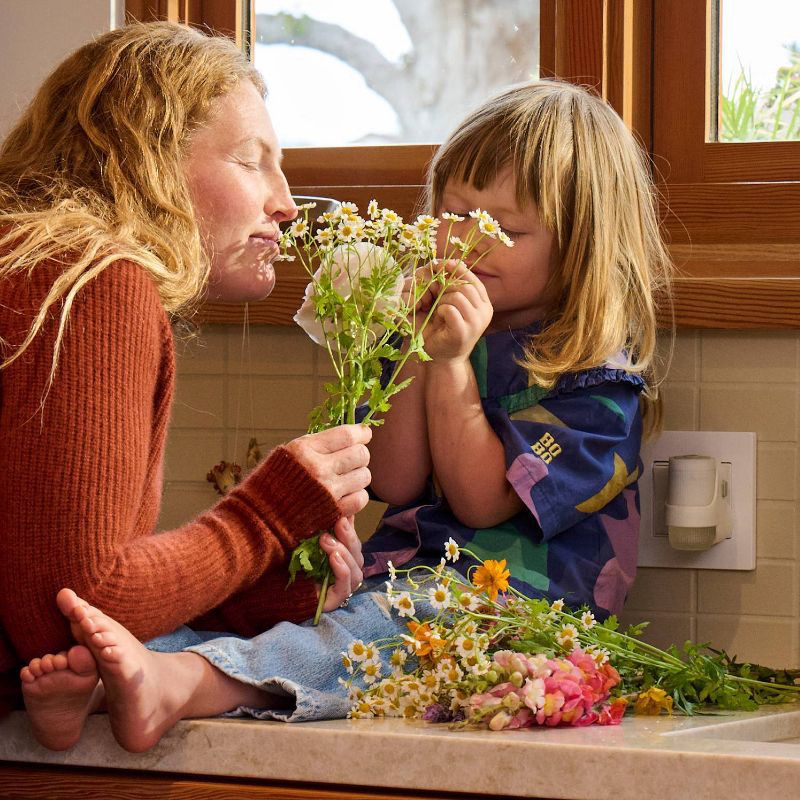 slide 10 of 12, Mrs. Meyer's Clean Day Premium Scented Oil Plug-In Diffuser Air Freshener Refills - Lavender - 0 .67 fl oz/2pk, 2 ct; 0.67 fl oz